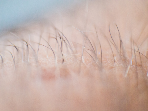 Basiscursus: Aan De Slag Met Macrofotografie Voor 10 Euro! | Digifoto ...